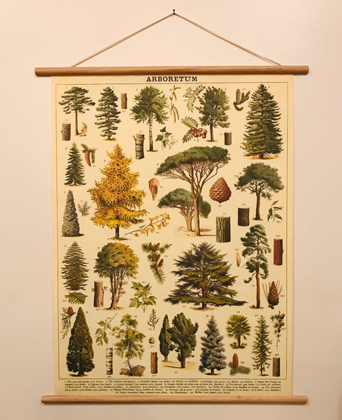 Arboretum Poster Kit